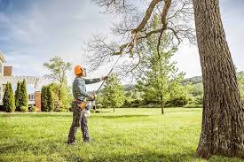 Best Emergency Tree Removal  in USA